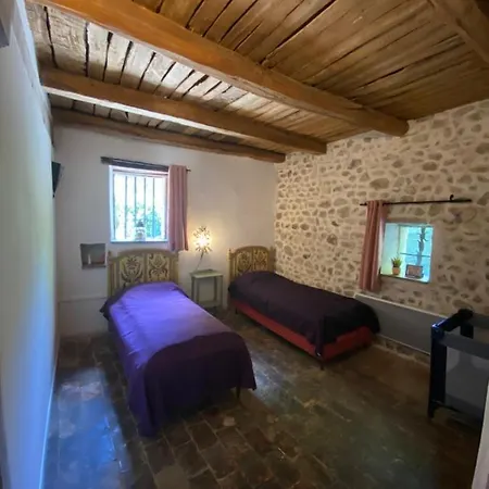 Orangerie De - Le Pampelmoussier Appartement Cardet
