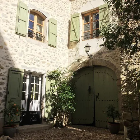 Orangerie De - Le Pampelmoussier *