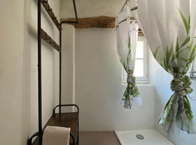 Orangerie De - Le Pampelmoussier Cardet